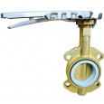 Aluminum Bronze Disc Disc Lug Butterfly Valve  body and disc wafer butterfly valve
