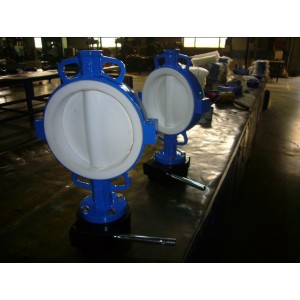 PTFE seat and 304 PTFE disc butterfly valve